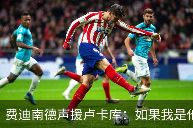 费迪南德声援卢卡库：如果我是他 我可能会疯